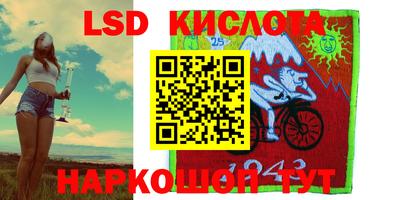 шишки Бузулук